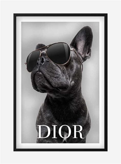 dior dog poster|Dior Dog Poster .